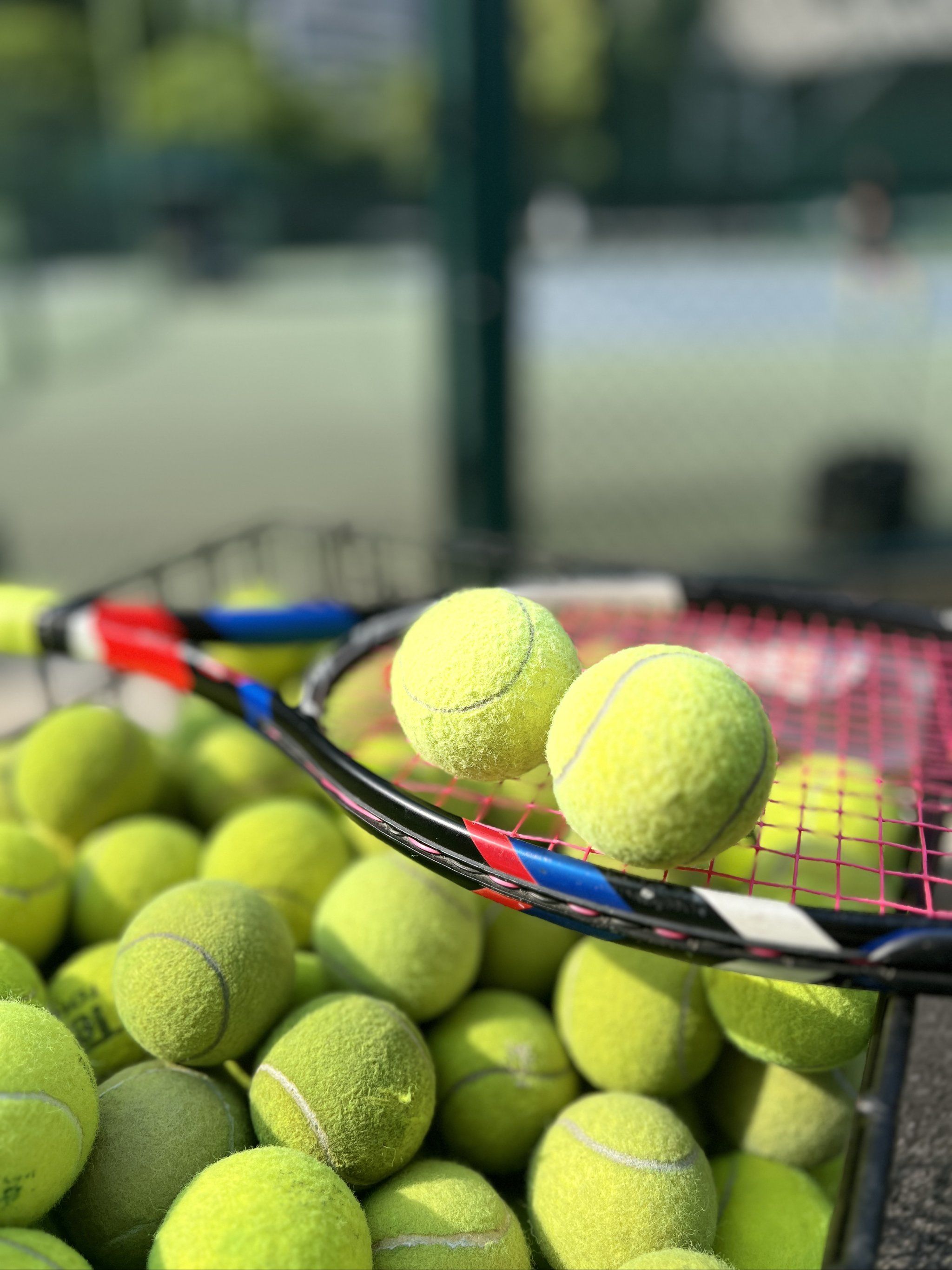 增长和状态 增长和状态