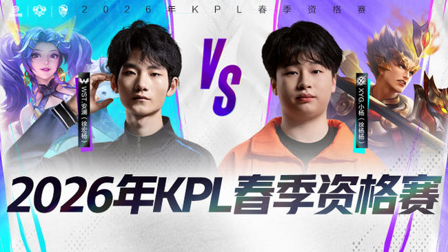 球迷旗帜 球迷旗帜